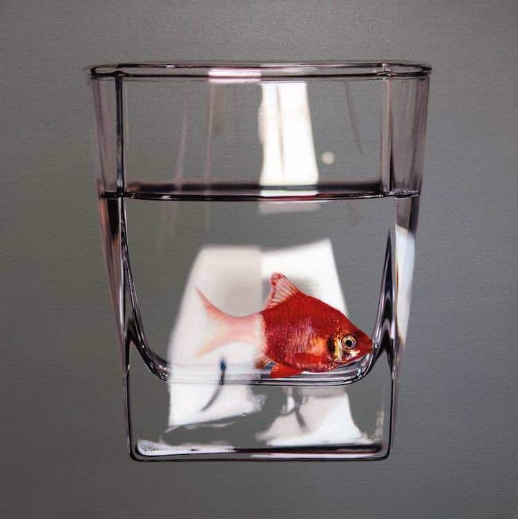 Stunning Oil Paintings Of Fish In Glass Bowls Are Examples Of Symbolism For The Contemporary World