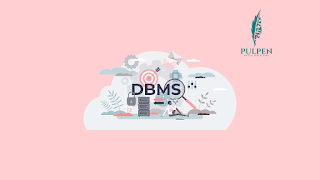 Database Management System (DBMS): Arti, jenis, Keunggulan, Fungsi, dan Lapisan