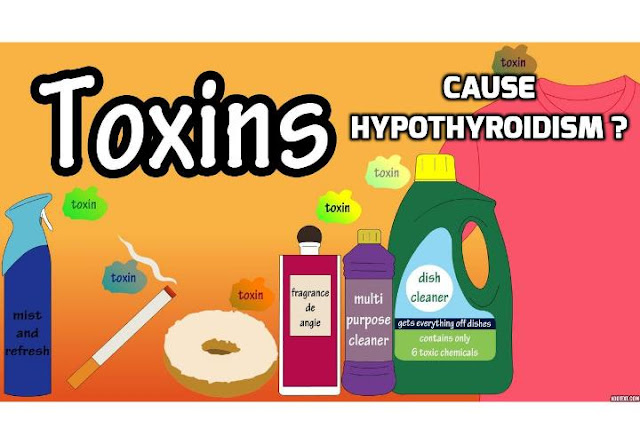 Several factors are known to influence thyroid function and health. Thyroid disorders tend to run in families, low iodine intake can depress thyroid activity, and exposure to radiation harms the thyroid. However in addition to these established risk factors ongoing research reveals toxic environmental chemicals pose a serious threat to your thyroid function and health. Read on to find out more.