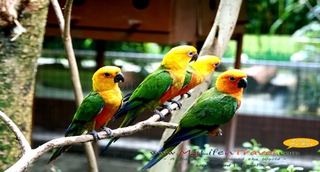 Langkawi Wildlife Park