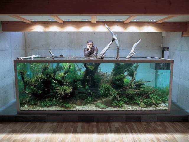 Hiasan Aquarium Dari Barang Bekas