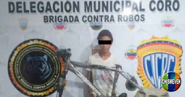 Miembro de una banda detenido en Falcón por robarse una bicicleta