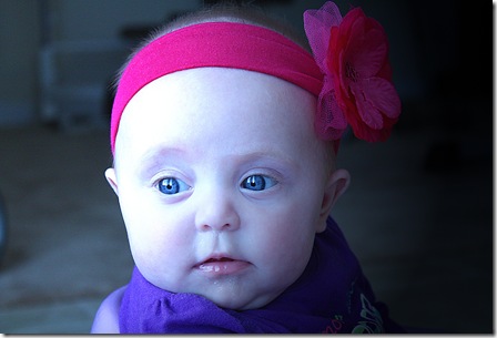 callie4andhalfmonths(2)