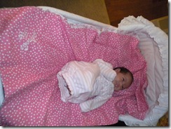 amelia 074