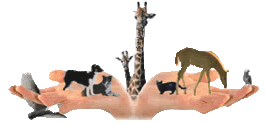 TidBitsofScents
