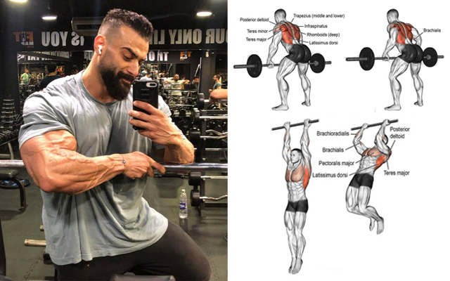 Top 4 Compound Exercises for Biceps