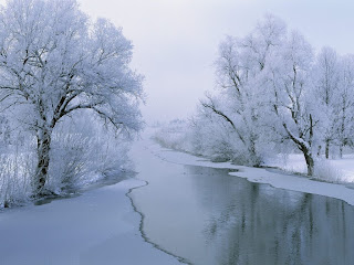 Winter wallpaper