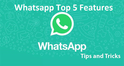 Top 5 Features of Whatsapp 2019 - DigitalPedia