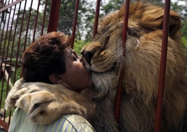 Hugs Lion Jupiter and Anna Torres, founder of the animal shelter. Columbia.