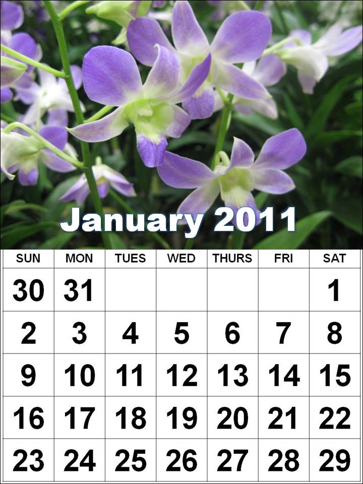 Calendars January 2011 to December 2011 - Horizontal