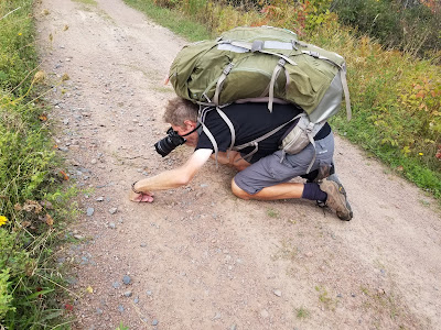 Sean Morton macrophotography on the Trans Canada Trail.