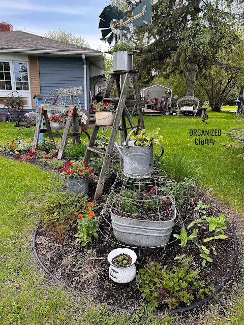 Photos of annuals, perennials, & junk in my front yard border.