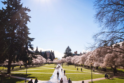 Image result for Happy Spring in Seattle