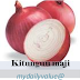 KILIMO BORA CHA VITUNGUU.