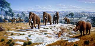 Stone Age Classification and Define