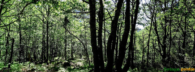 Ruta circular al Pico Mostellar y Lagos desde Burbia en León