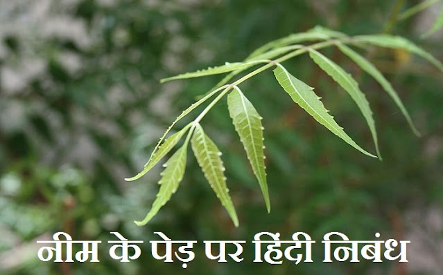 नीम के पेड़ पर निबंध - Essay on Neem Tree in Hindi