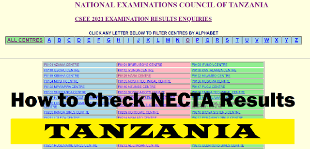 NECTA Results 2023 - 2024