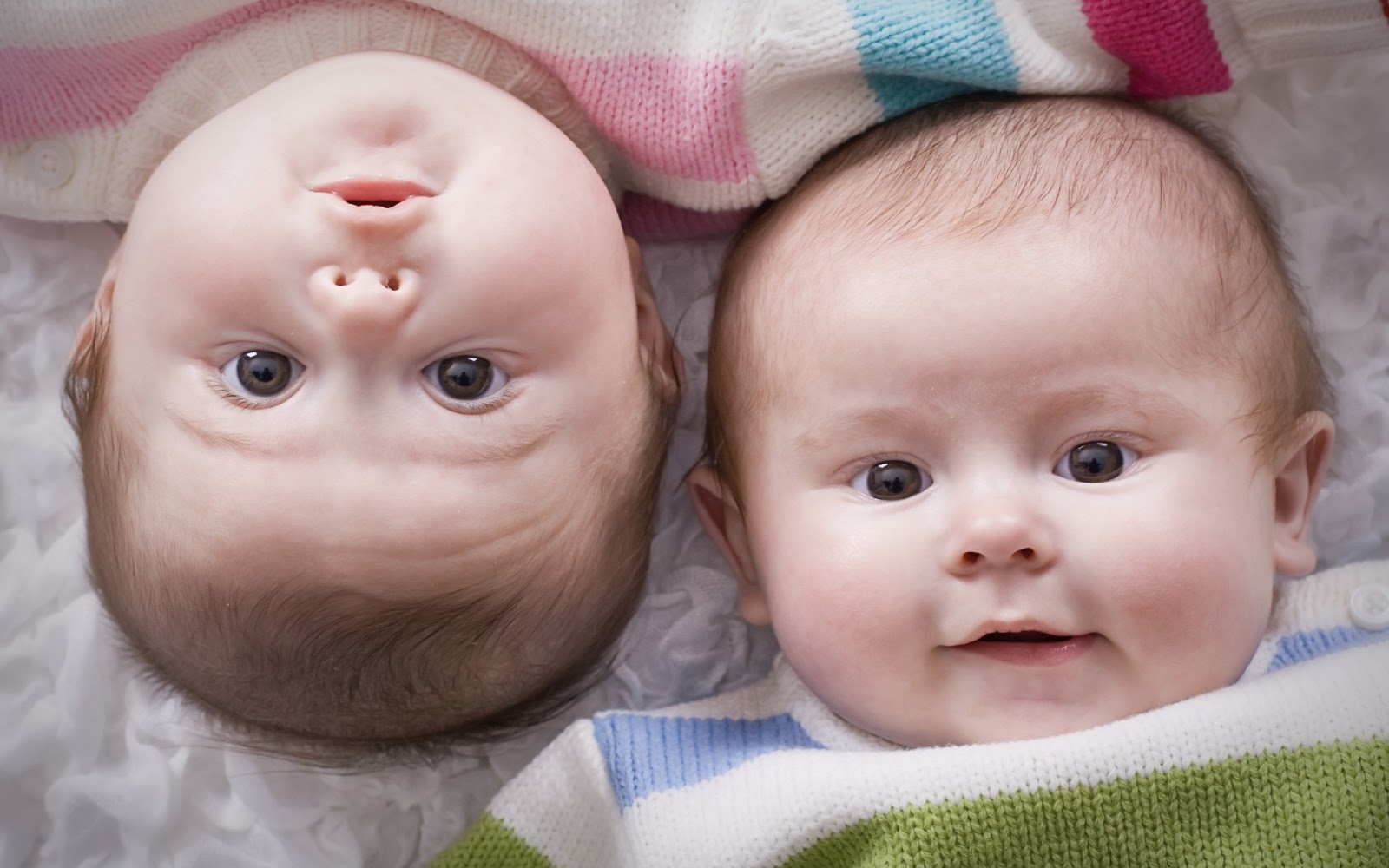 Koleksi Foto Lucu Bayi Imut Kantor Meme