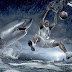 Shaq Dunk On Shark HD Wall Wallpapers