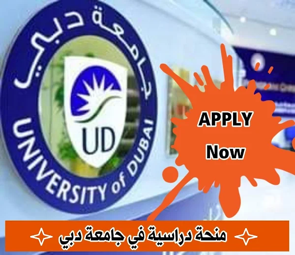 منحة جامعة دبي الدولية للبكالوريوس في الإمارات   Dubai International University Undergraduate Scholarship in the UAE