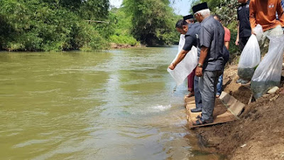 10 Ribu Benih Ikan Nila Ditebar di Lubuk Larangan Tapian Diaro