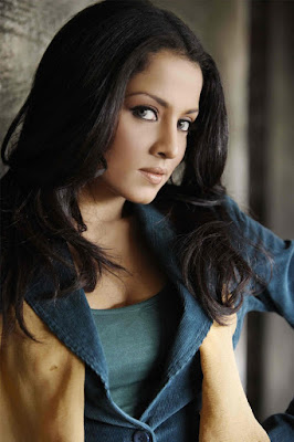 celina jaitly hd wallpaper 