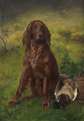Irish Setter, irish setter puppies, red setter, irish setter rescue, Irish Setter History 