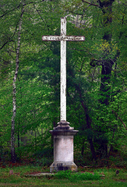 Croix de Guise, forêt de Fontainebleau