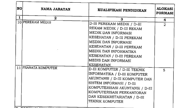 Formasi CPNS Kota Padang 2018