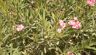 P1210214