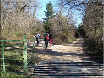 Pista de la izquierda