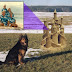 Dog Builds Sandcastle-- Finds Missing Family Inside