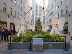 IMG_5265