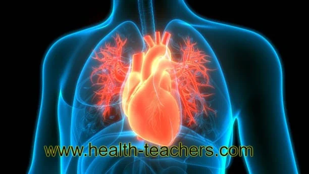 Climate change is deadly for the heart - Health-Teachers