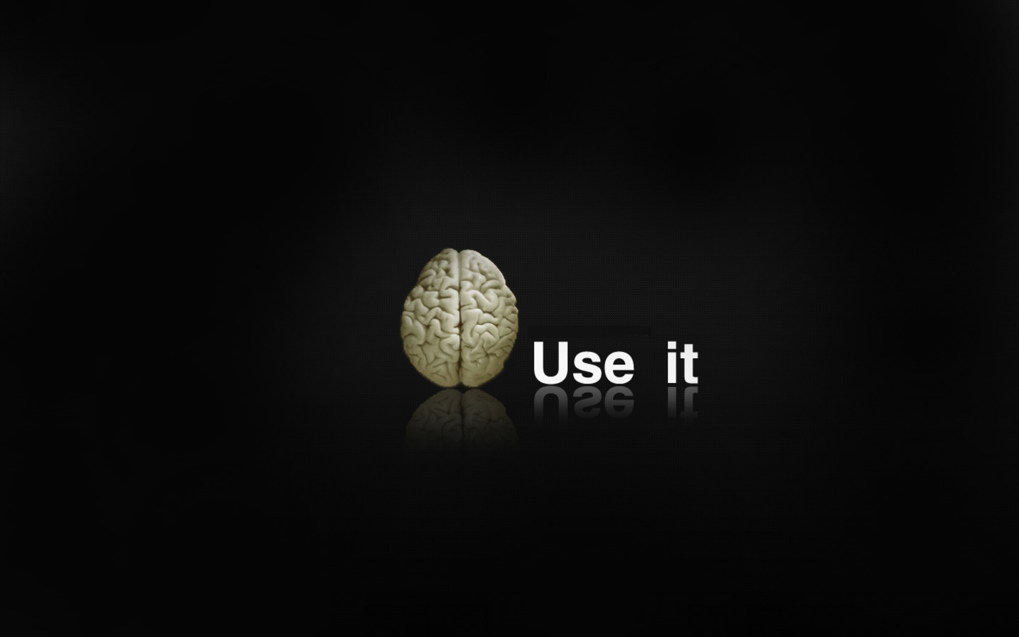 use_it_brain_hd_wallpaper_mine_colorfull_wallpaper_funny_theme ...