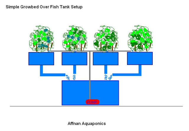 Commercial Aquaponics Systems Design : Introduction To Aquaponics Fish