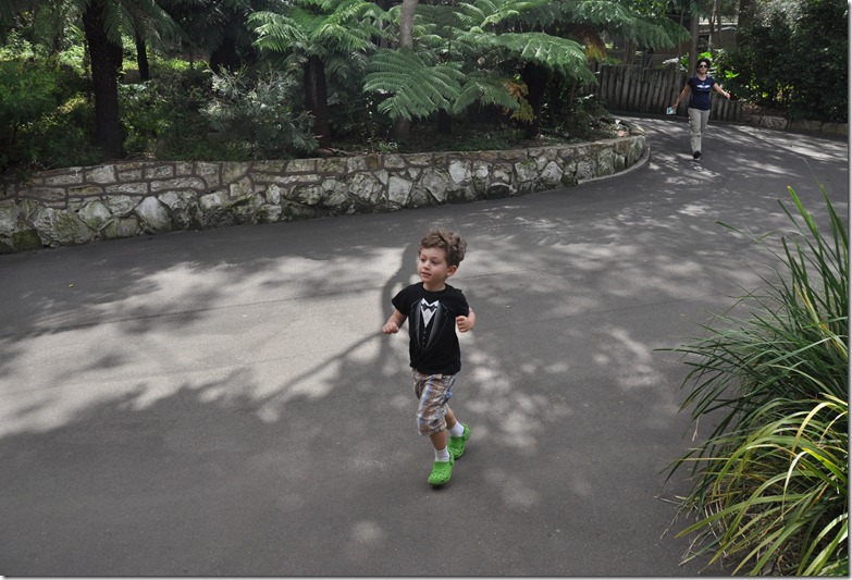 Alex running to tasmanian devil exhibit