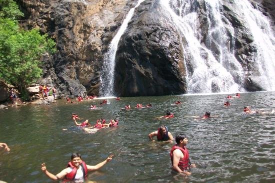 best thing to do in goa