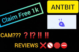  Accurate Review of Antbit.network: Legit or Scam?