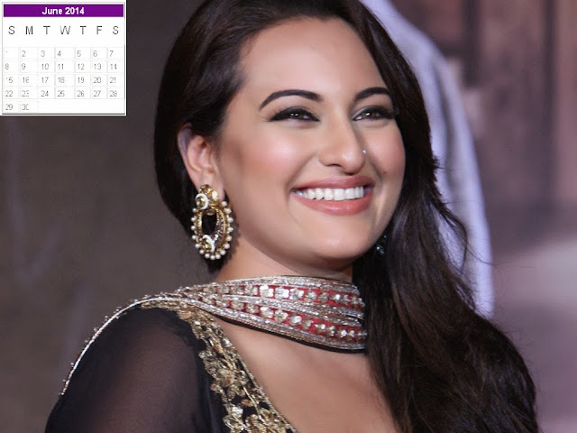 Sonakshi Sinha Calendar 2014