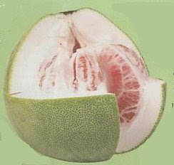 orange - Pomelo fruit  beneficial to health