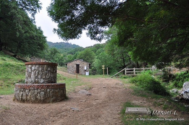 Canuto del Montero