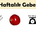 16 Haftalık Gebelik (Hamilelik) Ultrason Görüntüleri