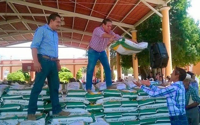 Estados/Crean maíz con alto rendimiento   para productores de Oaxaca