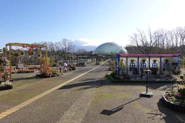 鳥取県西伯郡南部町鶴田 とっとり花回廊 エントランス展示