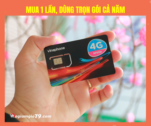 Sim 4G Vinaphone trọn gói 1 năm giá bao nhiêu sim