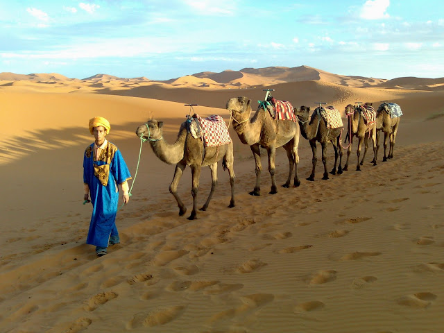 excursiones desierto marruecos