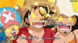 ワンピースアニメ ドレスローザ編 OPテーマ 17 | ONE PIECE Wake up! AAA