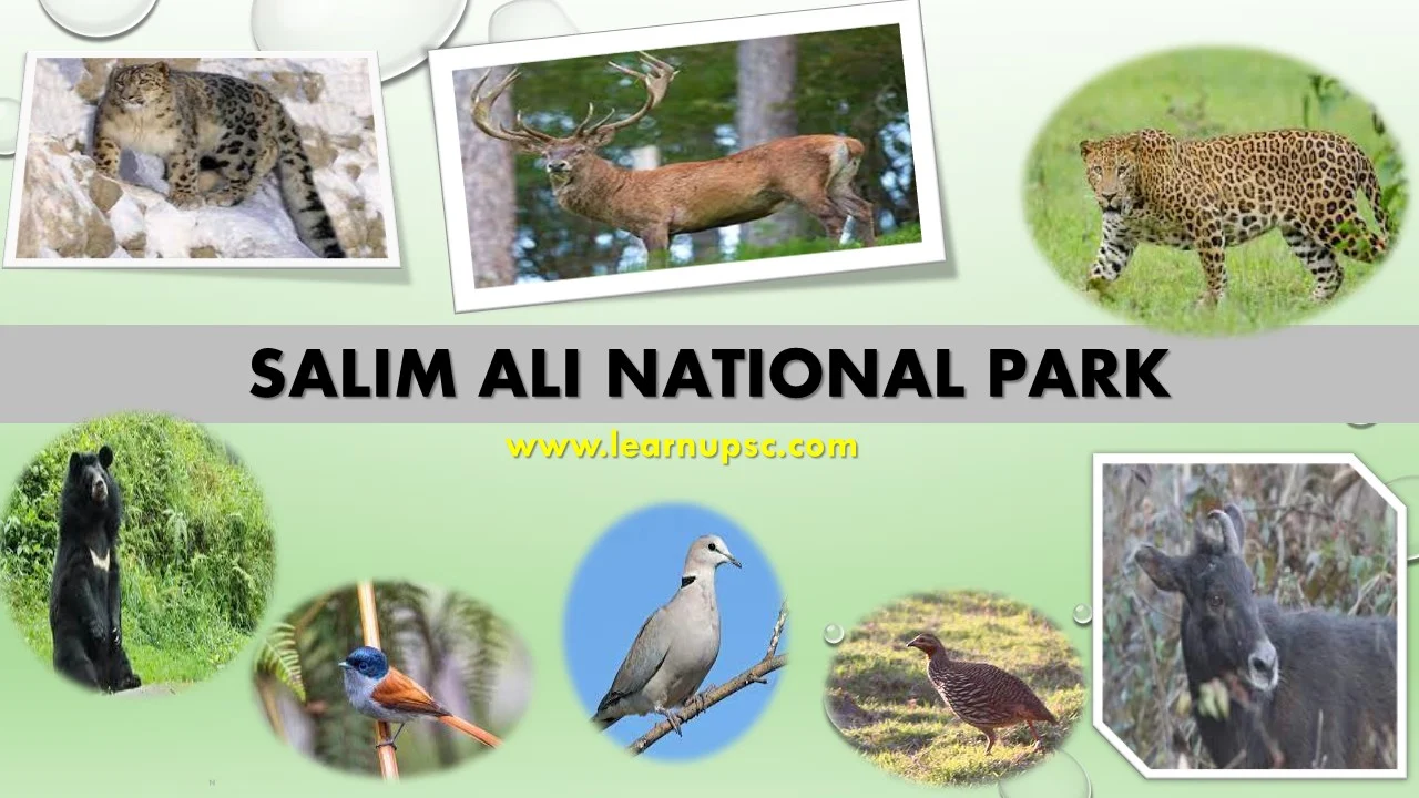 Salim Ali National Park
